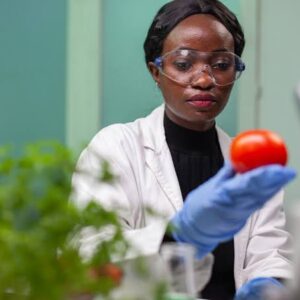 Graduação em Ciência  e Tecnologia de Alimentos